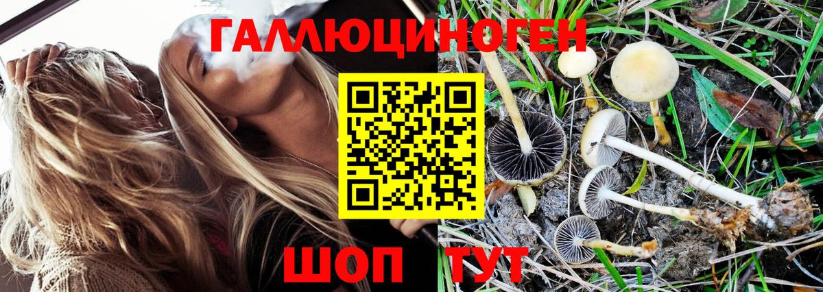 Галлюциногенные грибы GOLDEN TEACHER Кувандык