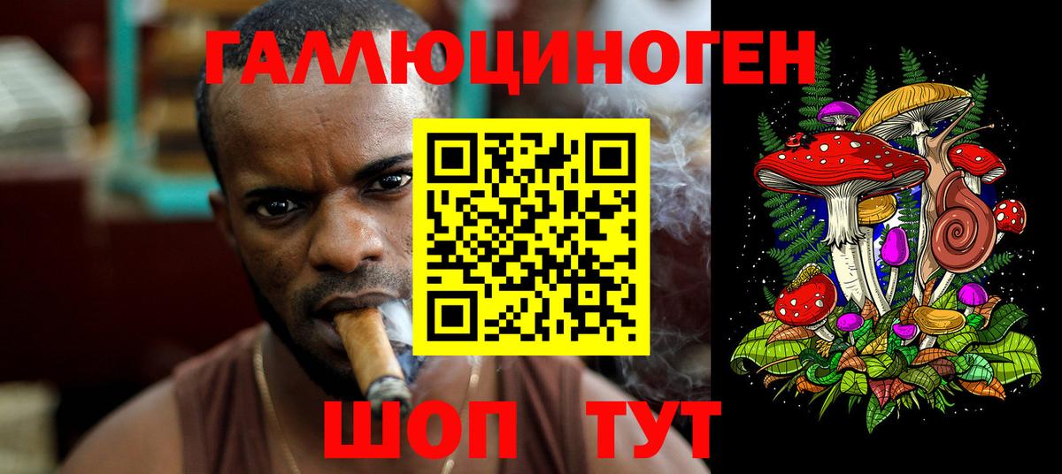Кувандык  Псилоцибиновые грибы прущие грибы  Вход с VPN 